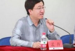 枫丹周本爆料最新消息,揭秘神秘新内容与重大更新